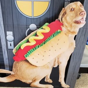 💕HP💕Hotdog Dog Costume Straps on Dog Spot on Dog